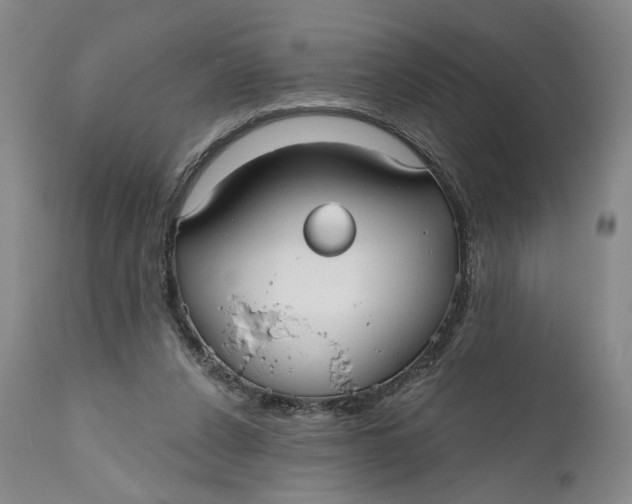 X0000111670256200908071504