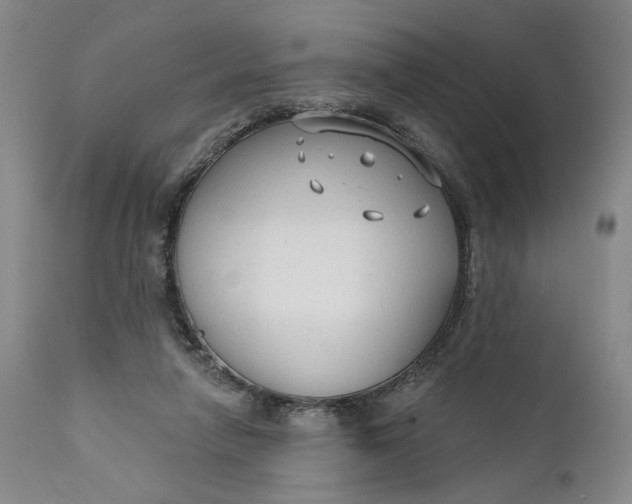 X0000111670258200908071504