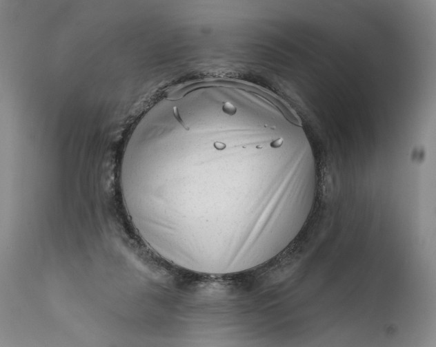 X0000111670259200908071504