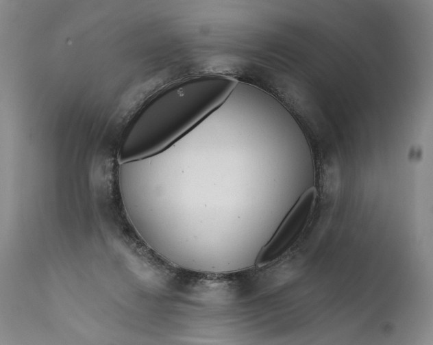 X0000111670260200908071504