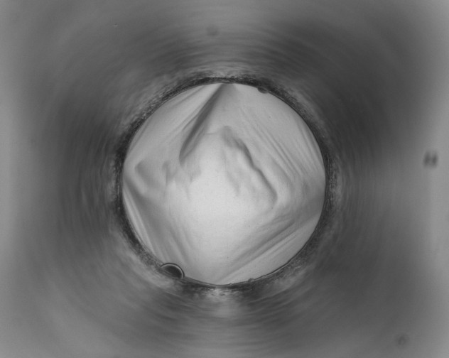 X0000111670261200908071504