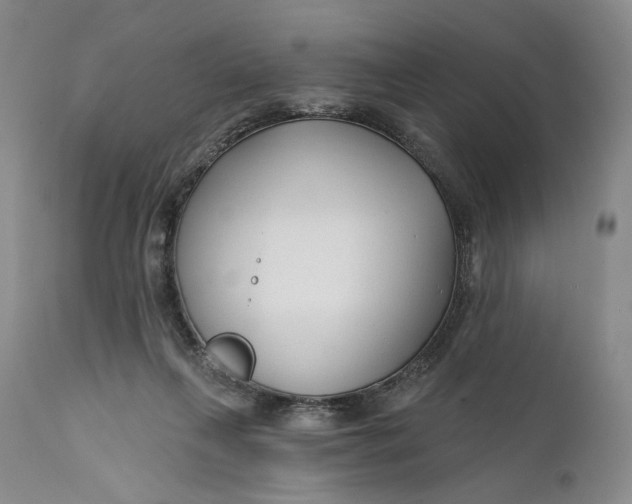 X0000111670263200908071504