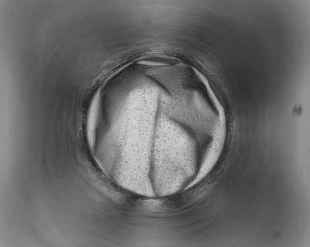 X0000111670265200908071504