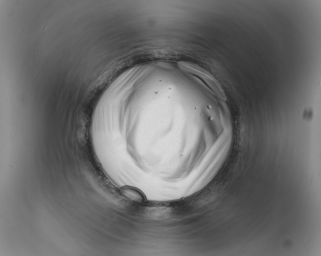 X0000111670266200908071504