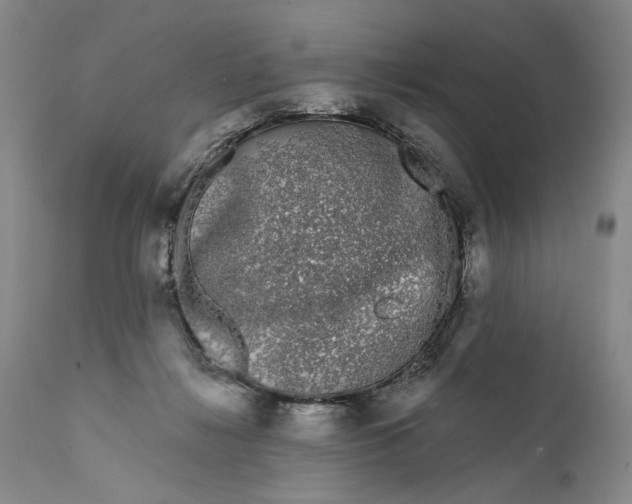 X0000111670268200908071504