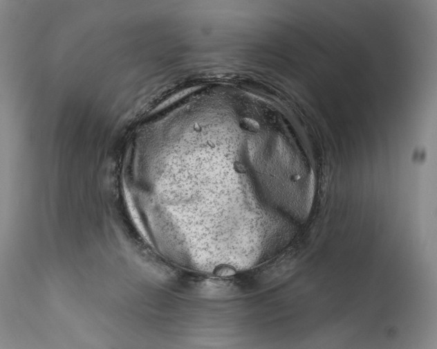 X0000111670270200908071504