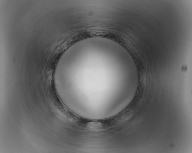 X0000111670271200908071504