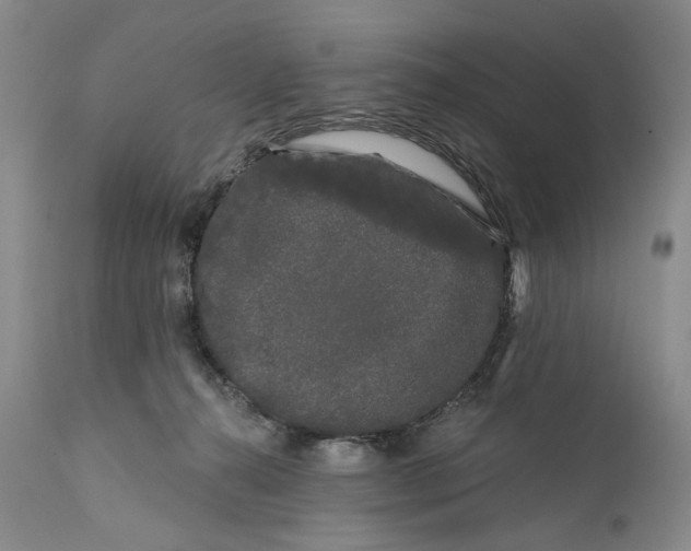 X0000111670272200908071504