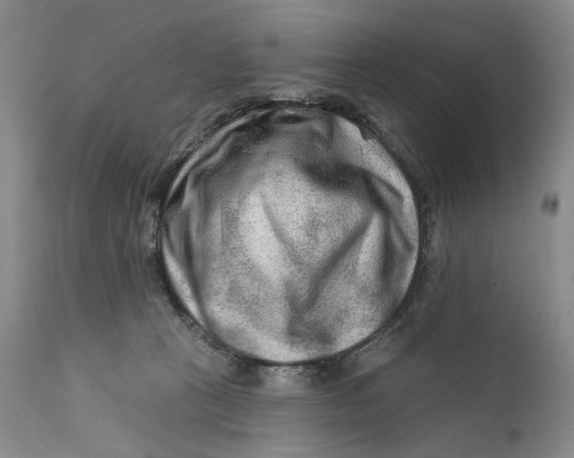 X0000111670273200908071504