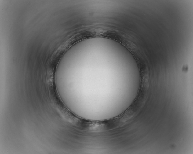 X0000111670274200908071504