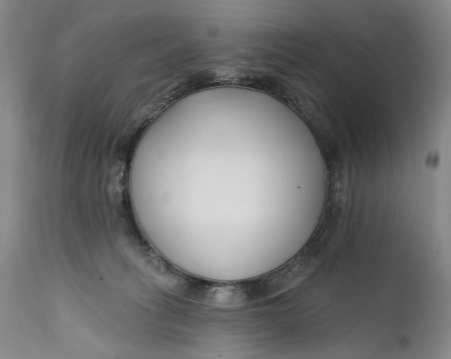 X0000111670275200908071505