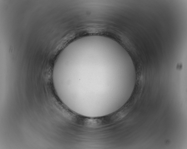 X0000111670277200908071505