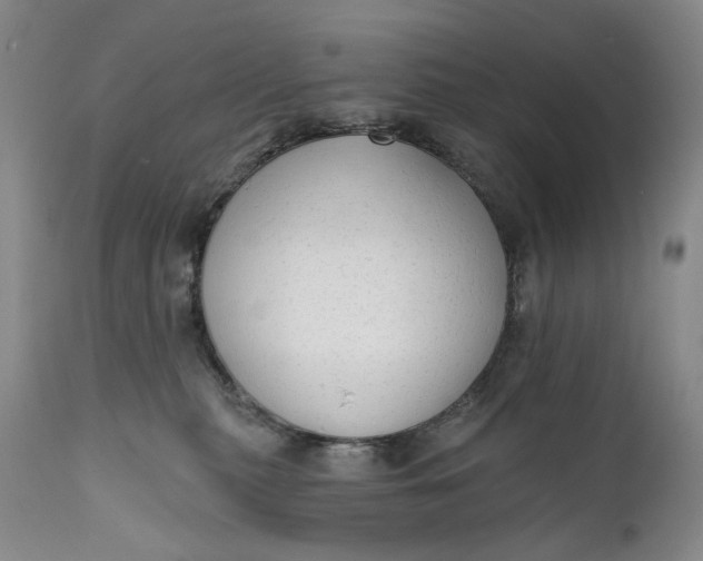 X0000111670279200908071505