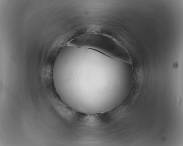 X0000111670280200908071505