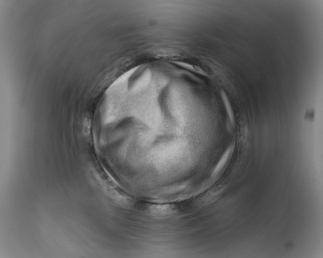 X0000111670281200908071505