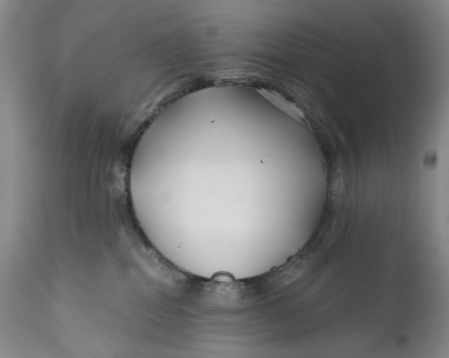 X0000111670282200908071505