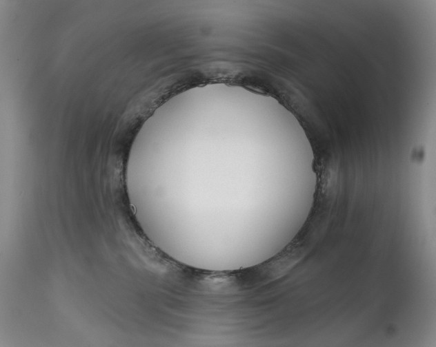 X0000111670283200908071505