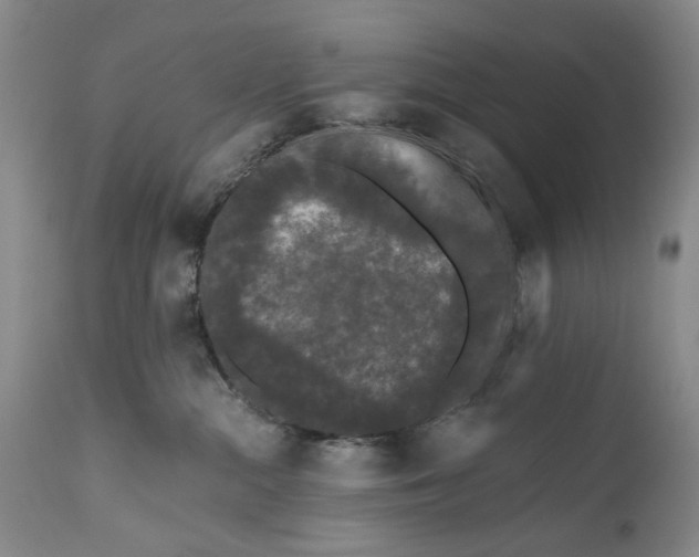 X0000111670284200908071505