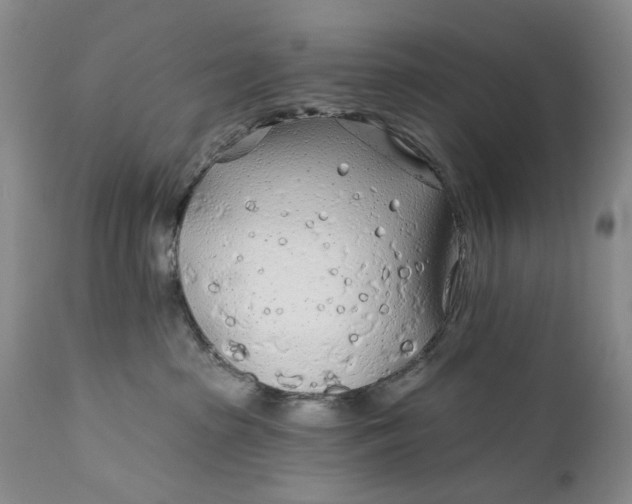 X0000111670285200908071505