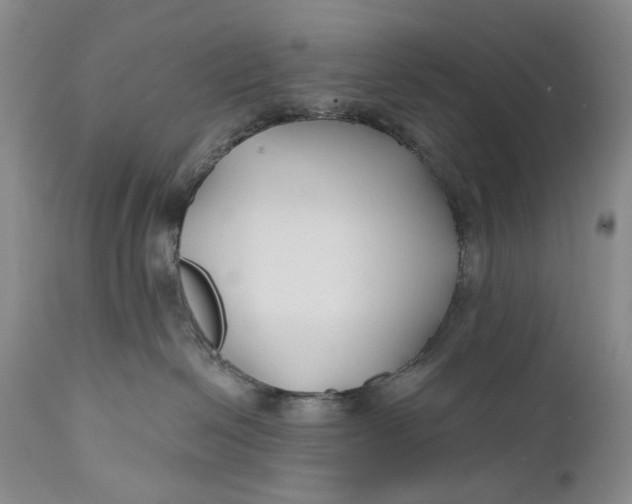 X0000111670286200908071505