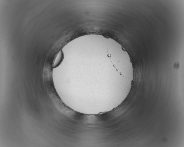 X0000111670287200908071505