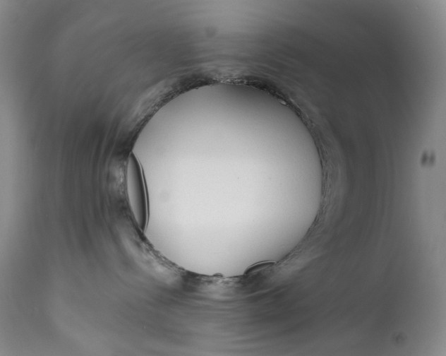 X0000111670288200908071505