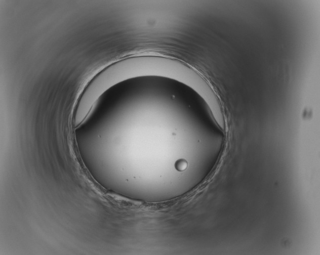 X0000111670289200908071504