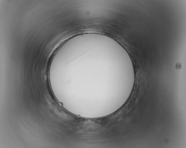 X0000111670290200908071504