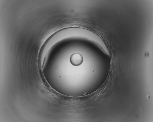 X0000111670292200908071504