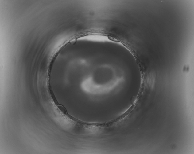 X0000111670293200908071504