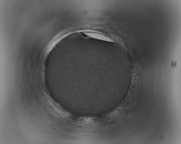 X0000111670295200908071504