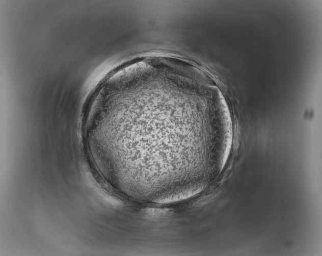 X0000111670296200908071504