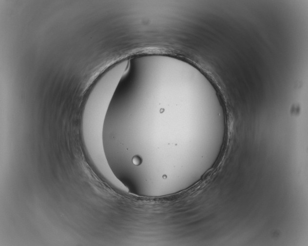 X0000111670297200908071504