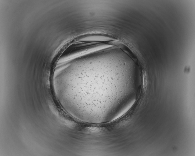 X0000111670300200908071504