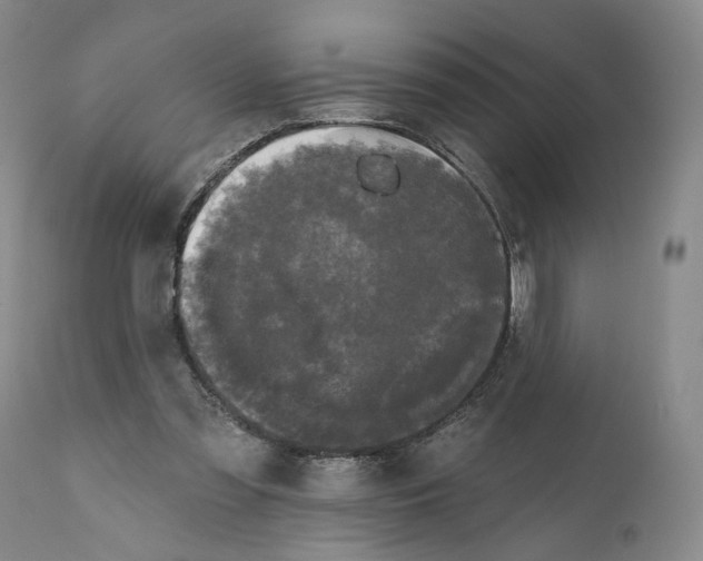 X0000111670301200908071504