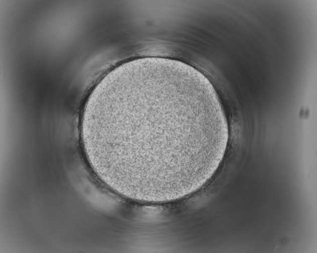 X0000111670302200908071504