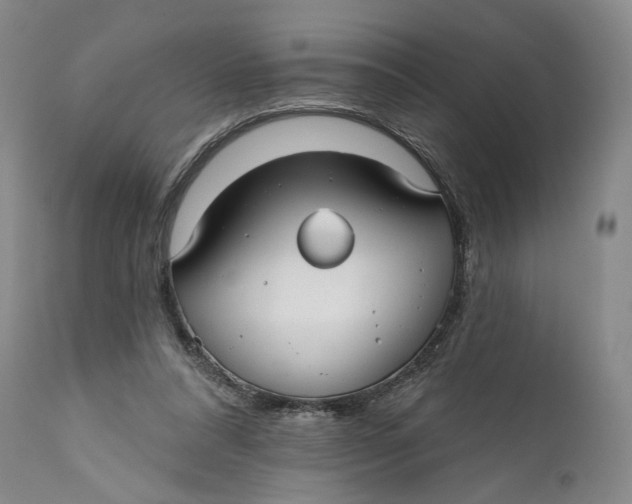 X0000111670304200908071504