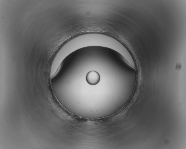 X0000111670305200908071504