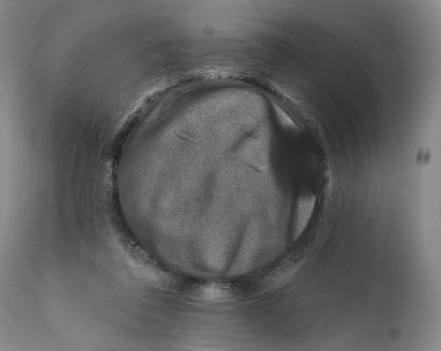 X0000111670308200908071504