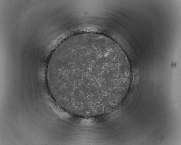 X0000111670309200908071504