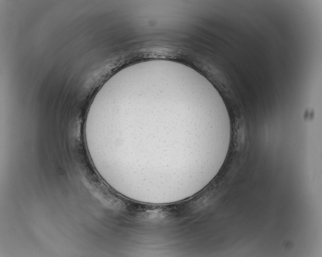 X0000111670310200908071504