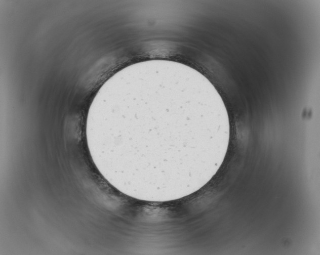 X0000111670311200908071504