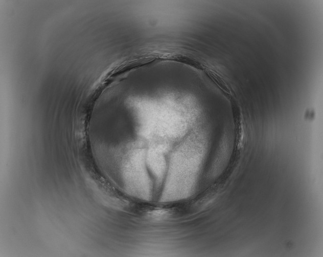 X0000111670312200908071504