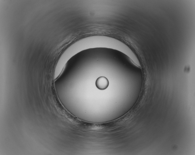 X0000111670313200908071504