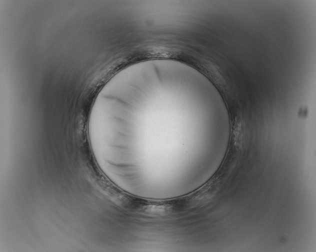 X0000111670314200908071504