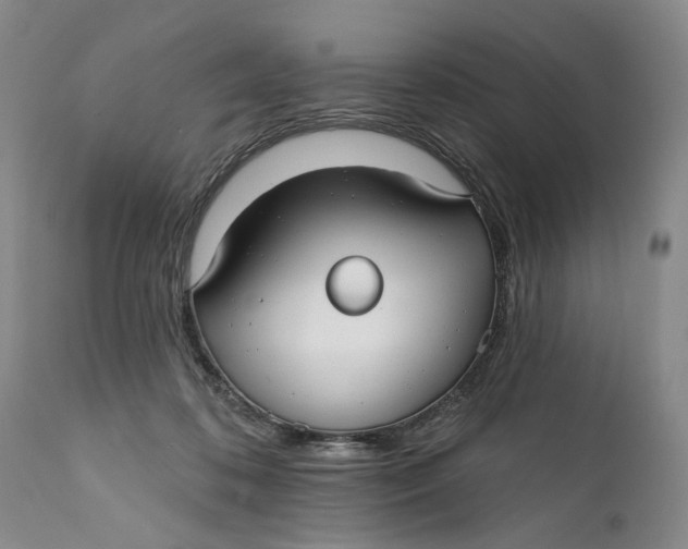 X0000111670316200908071503