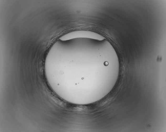 X0000111670317200908071503