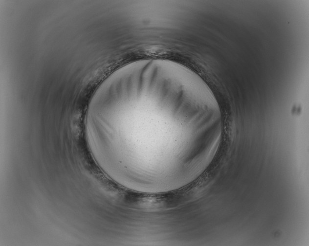 X0000111670319200908071503