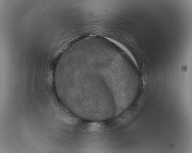 X0000111670320200908071503