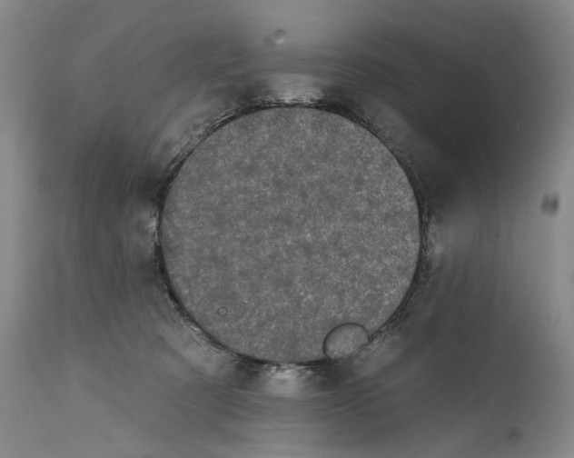 X0000111670321200908071503